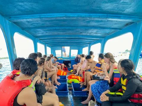 Snarkling Stock Photos