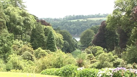 Sneak view of Helford River situated in Cornwall, UK Stock-Footage 102472252