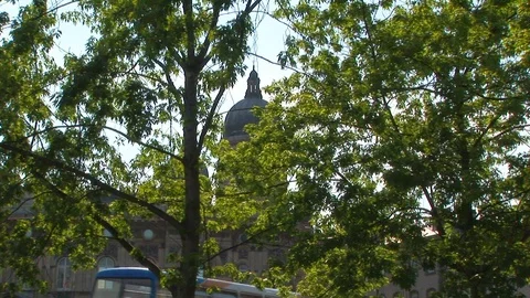 Sneak view through tree branches of Hull’s Maritime Museum. Hull UK Stock Footage 103290936