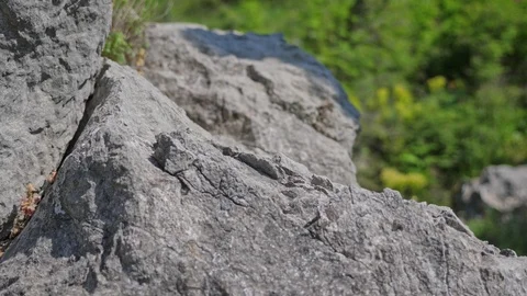 Sneaker comes on a stone. Stock-Footage 90138160