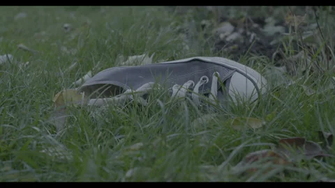 Sneaker lying in the grass. Stock Footage 130826736