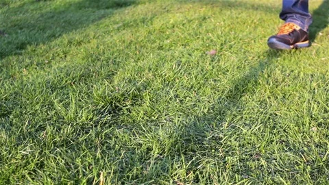   sneakers go on grass Stock Footage 76267268
