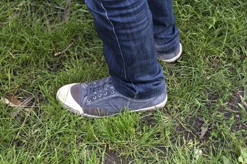 Sneakers on the grass. Stock Photos