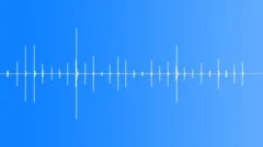 Sneakers On Wooden Ground, MultipleSound Effect
