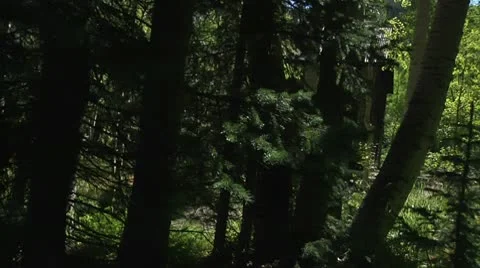 Sneaking Around Haunted House Stock Footage 10590657