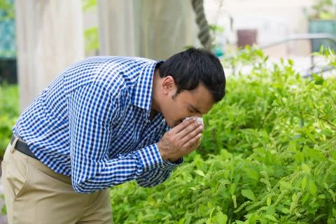 Sneezing sick Stock Photos