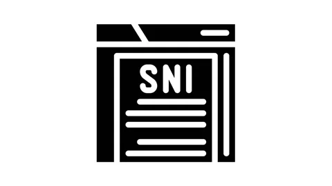 Sni protocol glyph icon animation Stock Footage 166926521