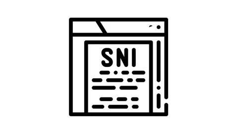 Sni protocol line icon animation Stock Footage 166917170