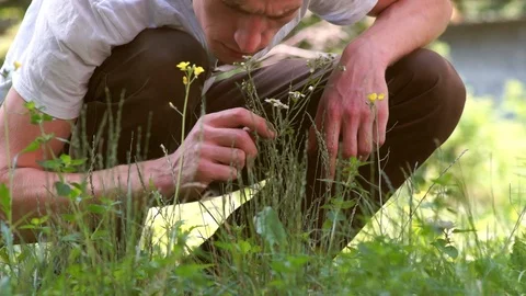 Sniffing the flower 库存影片 92130405