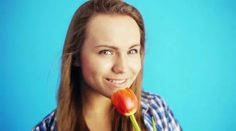 Sniffing red tulip Stock Footage 21486191