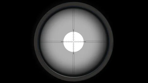 Sniper Scope. Gun Sight. Alpha Channel Included. Looped. Easy to use. Stock Footage 90946276