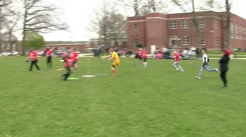 Snitch Jumps Through Hoop Stock Footage 24923831