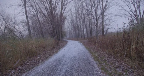 SnoFalling snow on country path Stock Footage 120587438
