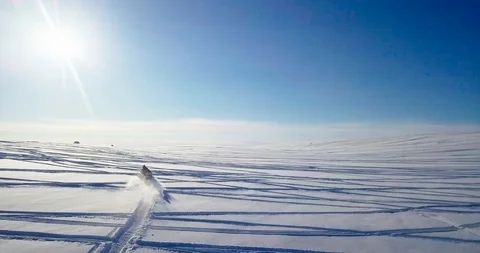 Snomobiling in the tundra. Stock Footage 99641178