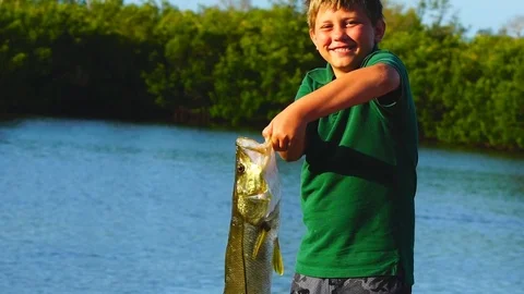 Snook Fishing Stock Footage 75186761