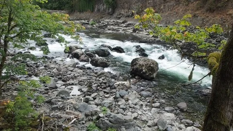 Snoqualmie Falls Stock Footage 94785614
