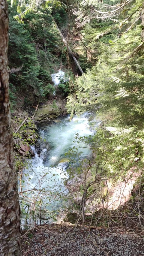 The Snoqualmie River below Franklin Falls Stock Footage 246023280