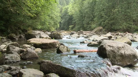 Snoqualmie River SF 01 Stock Footage 6242626