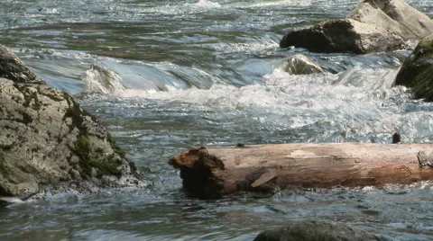 Snoqualmie River SF 02 Stock Footage 6239930