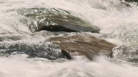 Snoqualmie River SF 03 Stock Footage 6245828
