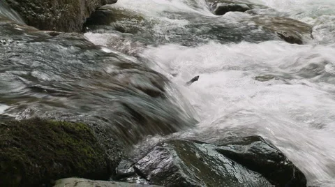 Snoqualmie River SF 04 Stock Footage 6248100