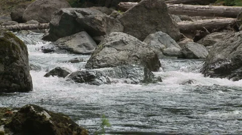 Snoqualmie River SF 06 Stock Footage 6254937