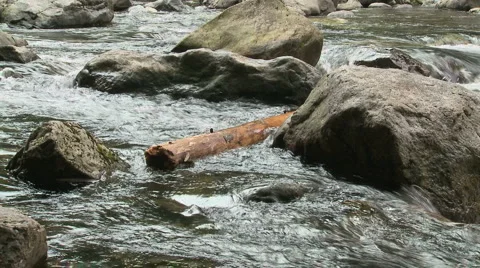 Snoqualmie River SF 07 Stock Footage 6258506