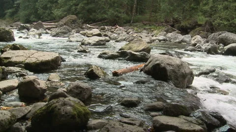Snoqualmie River SF 08 Video stock 6264084
