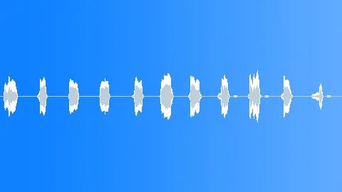 SNORING MAN Sound Effect