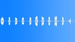 SNORING MANSound Effect