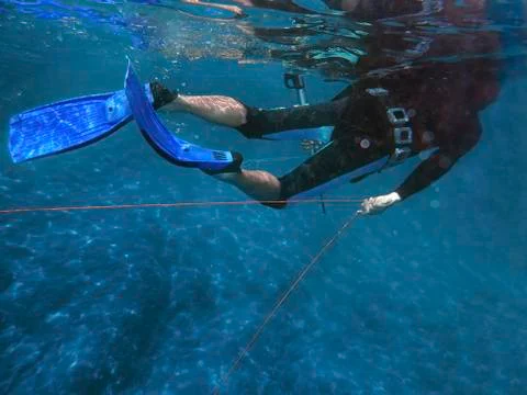 Snork diving Stock Photos