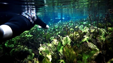 Snorkel Stock Footage 74872834