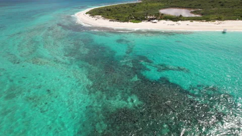 Snorkel Stock Footage 219347313