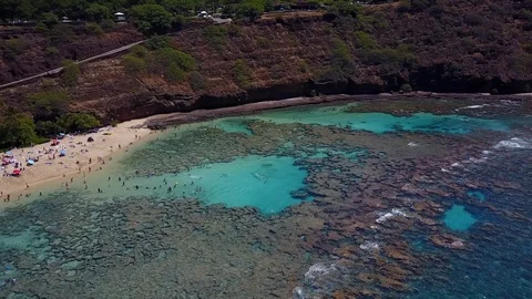 Snorkel Ocean Reef view pan right Video stock 89888630