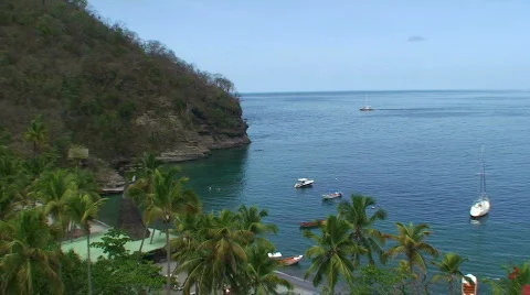 Snorkel Paradise  Stock Footage 486502