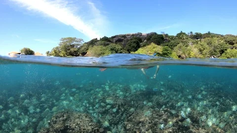 Snorkel Seychelles split view Stock-Footage 109452332