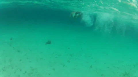 Snorkeler dives to bottom to explore fish. Video stock 42690542