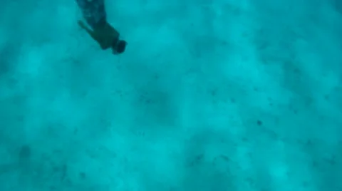 Snorkeler diving to the bottom of the ocean Stock Footage 10863144