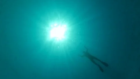 Snorkeler diving from the surface of the water Stock Footage 76886385