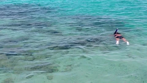 A snorkeler Stock Footage 336215166