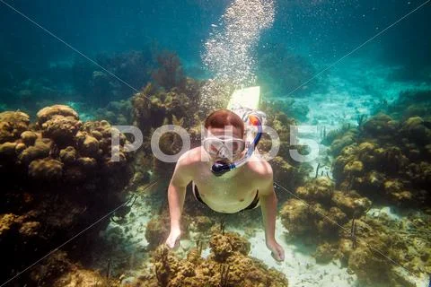 Snorkeler Stock Photos