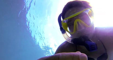 Snorkeler reef fish Video stock 42856637