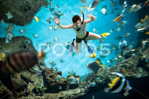 Snorkeler underwater Stock Photos