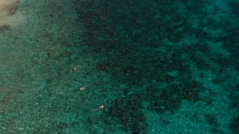 Snorkelers Stock Footage 99773144