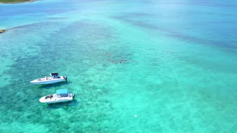 Snorkeler's in Nassau Bahamas Stock Footage