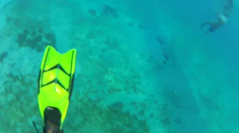 Snorkelers at Play Stock Footage 42694643
