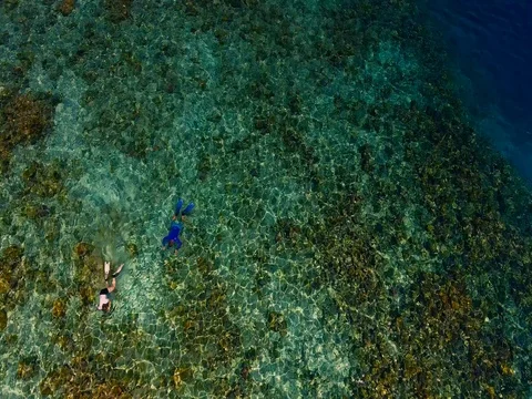 Snorkelers at the reef 動画素材 77656004