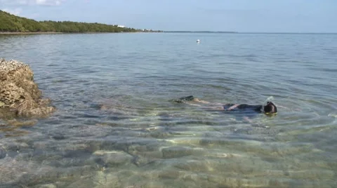 Snorkeling away Stock Footage 7469951