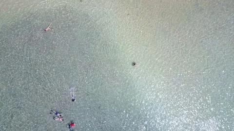 Snorkeling at the beach Video stock 89888868