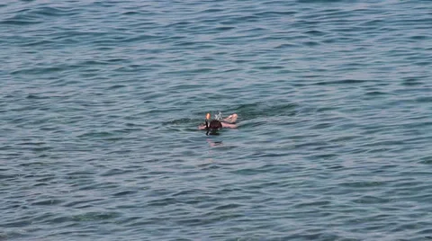 Snorkeling boy Stock-Footage 30708080